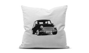 Pillow-O-nas-2020